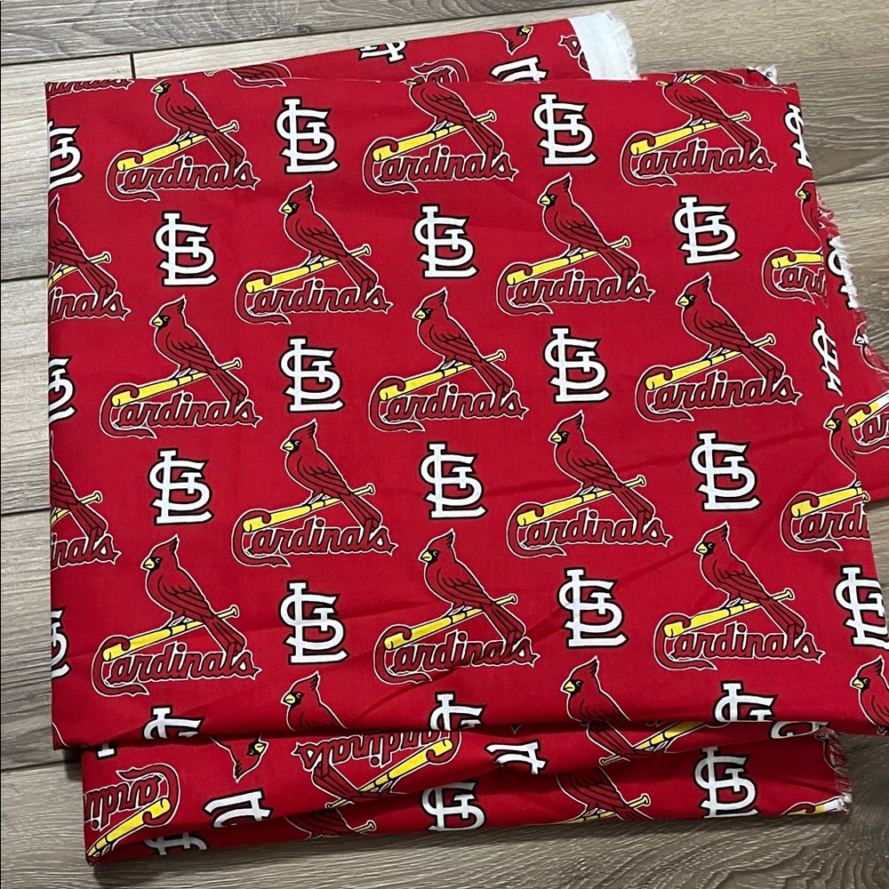St. Louis Cardinals Red Fabric 10 by 6 ft.